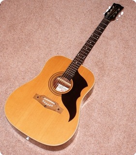 eko ranger 6 acoustic guitar